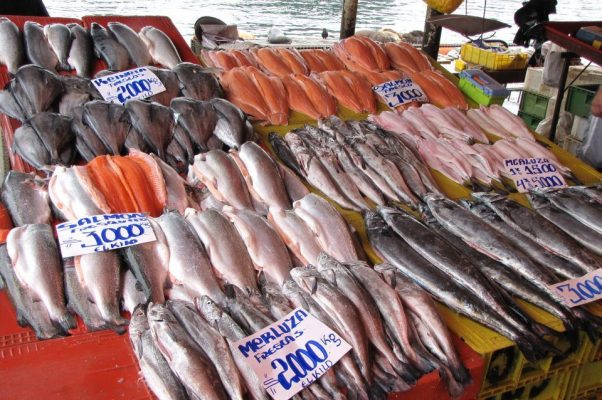 Garantizan abastecimiento de pescados y mariscos durante Semana Santa en  Ñuble – La Discusión