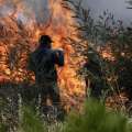 Declaran Alerta Roja en Chillán Viejo por incendio forestal en sector Valle Escondido