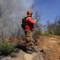 Continúa combate contra incendio en Chillán Viejo y cancelan alerta roja