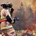 Incendio forestal amenaza al menos 50 casas en Chillán