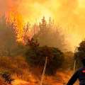 Cinco incendios forestales se activaron en distintos puntos de la región
