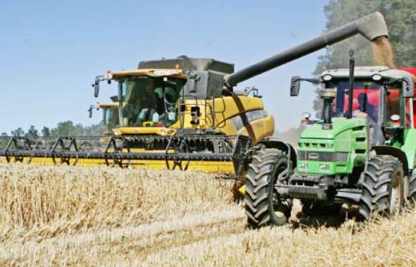 Farmers regret “late” decision to instruct Cotrisa to buy wheat – La Discusión