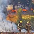 Incendio en Quirihue y Ninhue ha consumido 400 hectáreas