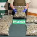 Dos colombianos detenidos con más de 5 kilos de marihuana en San Nicolás