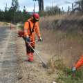 MOP limpia más de 2.500 kilómetros de fajas viales en Ñuble para prevenir incendios