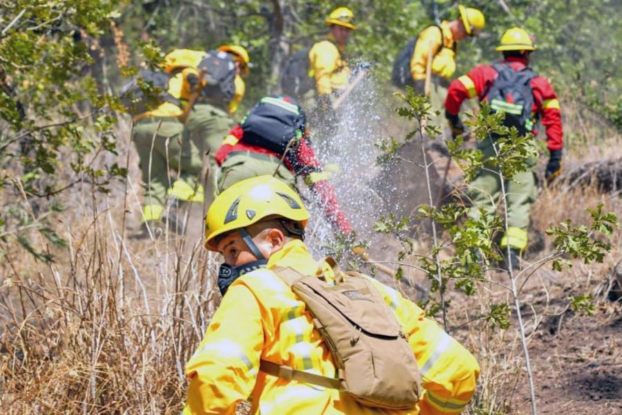 Prevención, cuidado y conciencia ambiental