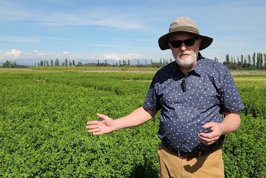 Experto mundial en alfalfa conoció trabajo de INIA ante escasez hídrica
