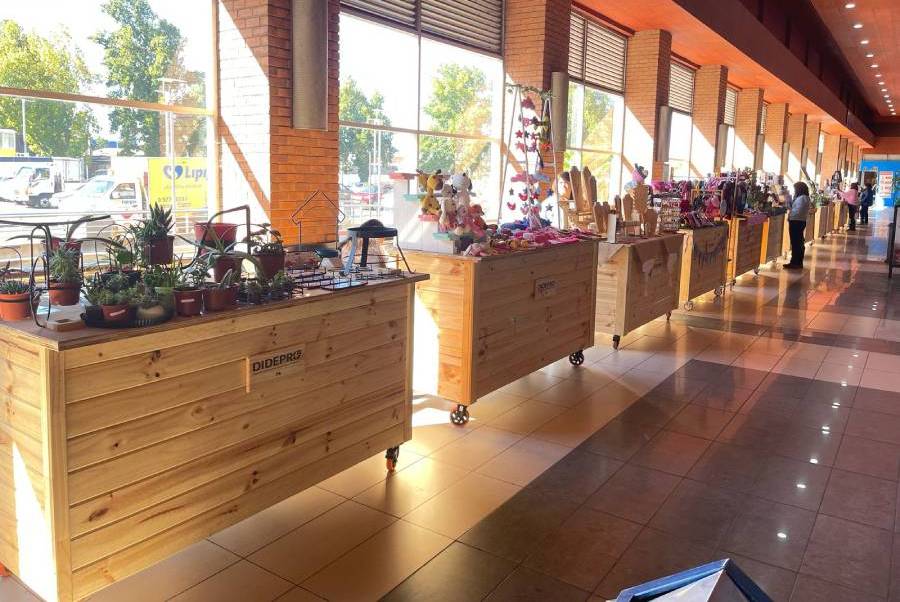 Emprendedores locales se reúnen en la Gran Feria Productiva de Líder Collín