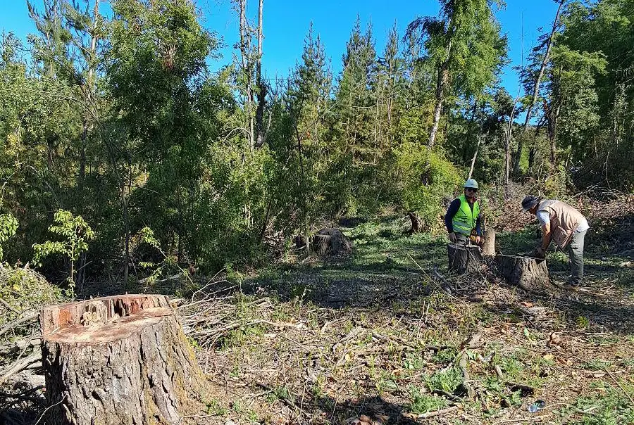 Prevención, cuidado y conciencia ambiental
