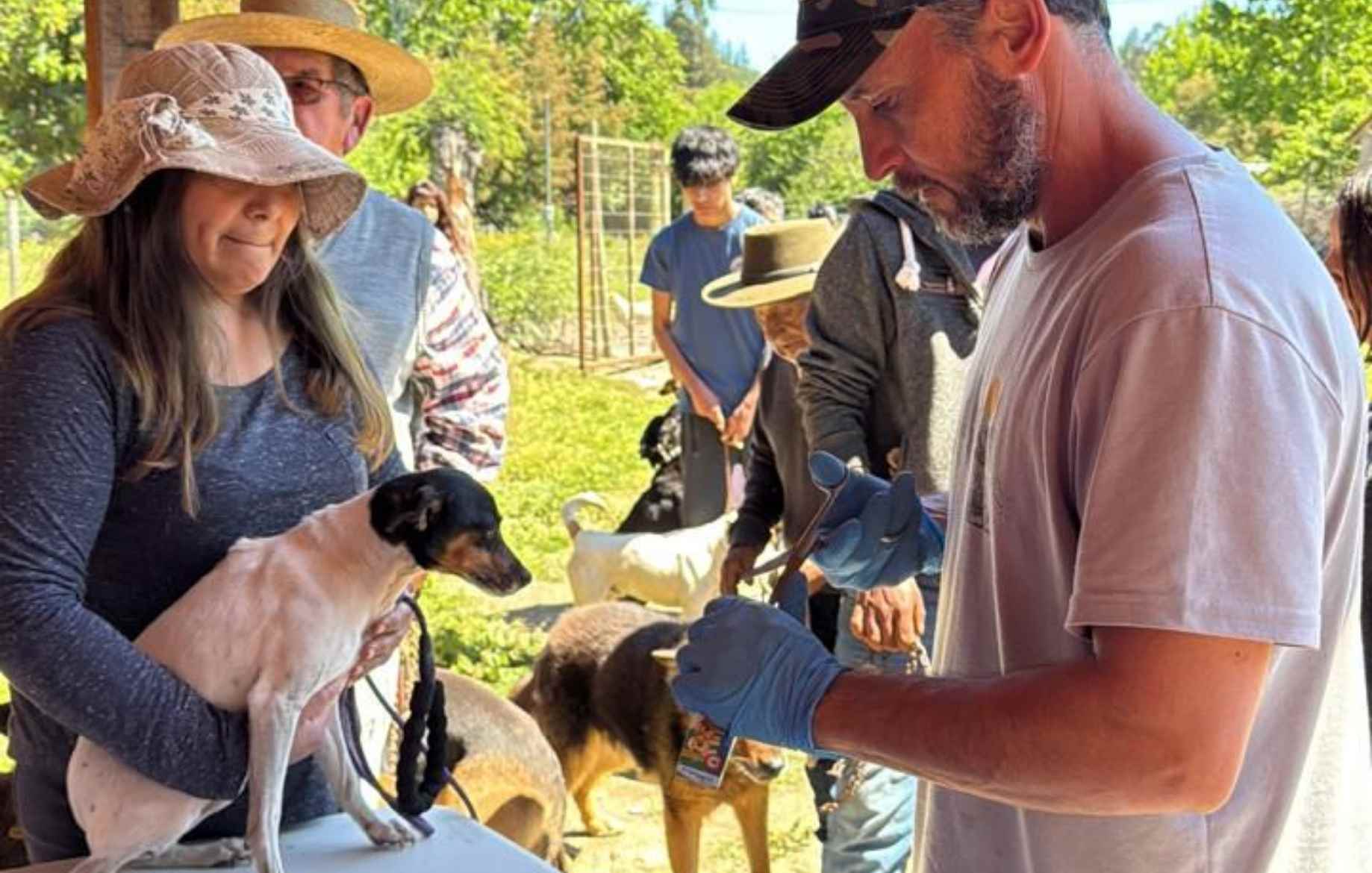 Operativo de desparasitación en Portezuelo: cerca de mil mascotas fueron atendidas