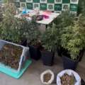 Carabineros detiene a dos hombres por robo y descubre laboratorio de drogas en vivienda de Chillán
