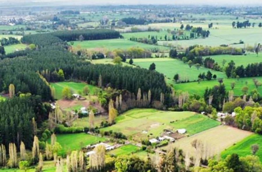 Vecinos piden anular aprobación ambiental de parque eólico en El Carmen – La Discusión