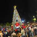 El Carmen enciende la Navidad con árbol de 12 metros