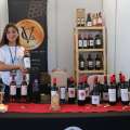 Feria del Vino del Valle del Itata reúne a productores y visitantes en Vivo Outlet Chillán