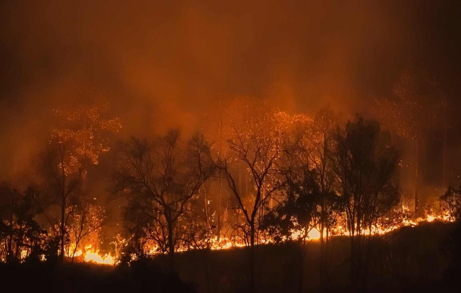 Ley de incendios – La Discusión