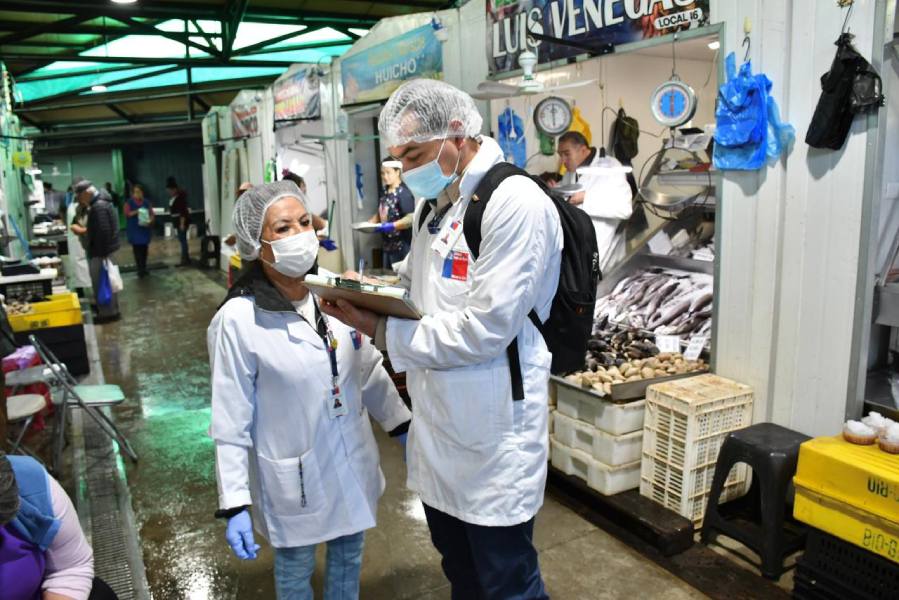 Semana Santa: intensifican fiscalizaciones a pescados y mariscos en Ñuble