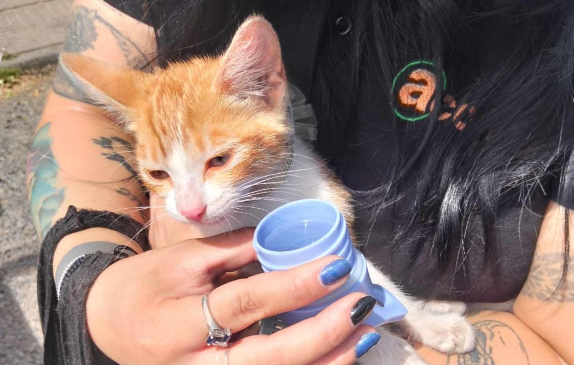 Inspectores de seguridad municipal rescatan a gatito deshidratado dentro de un auto en Chillán