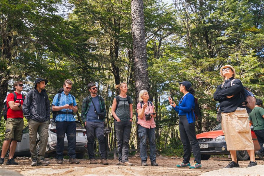 Campaña internacional recolecta semillas de flora amenazada