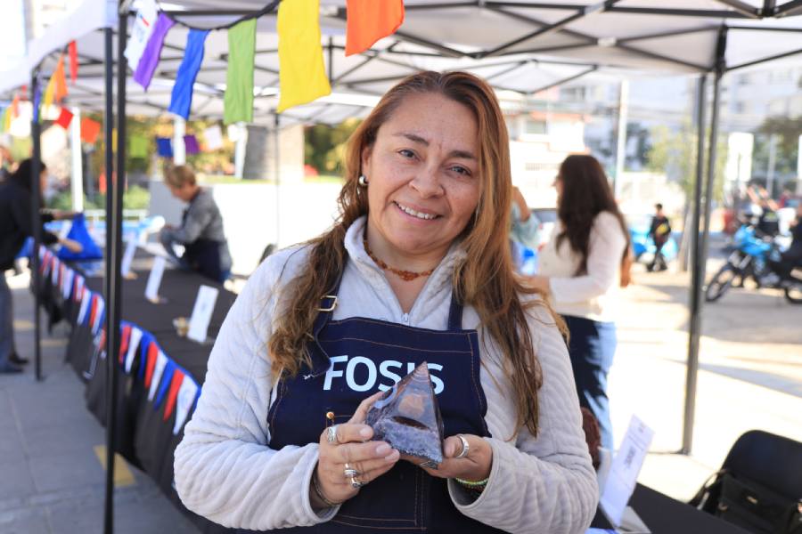 Fosis abre postulaciones en Ñuble con 1.650 cupos y más de $1.600 millones para apoyar emprendimientos