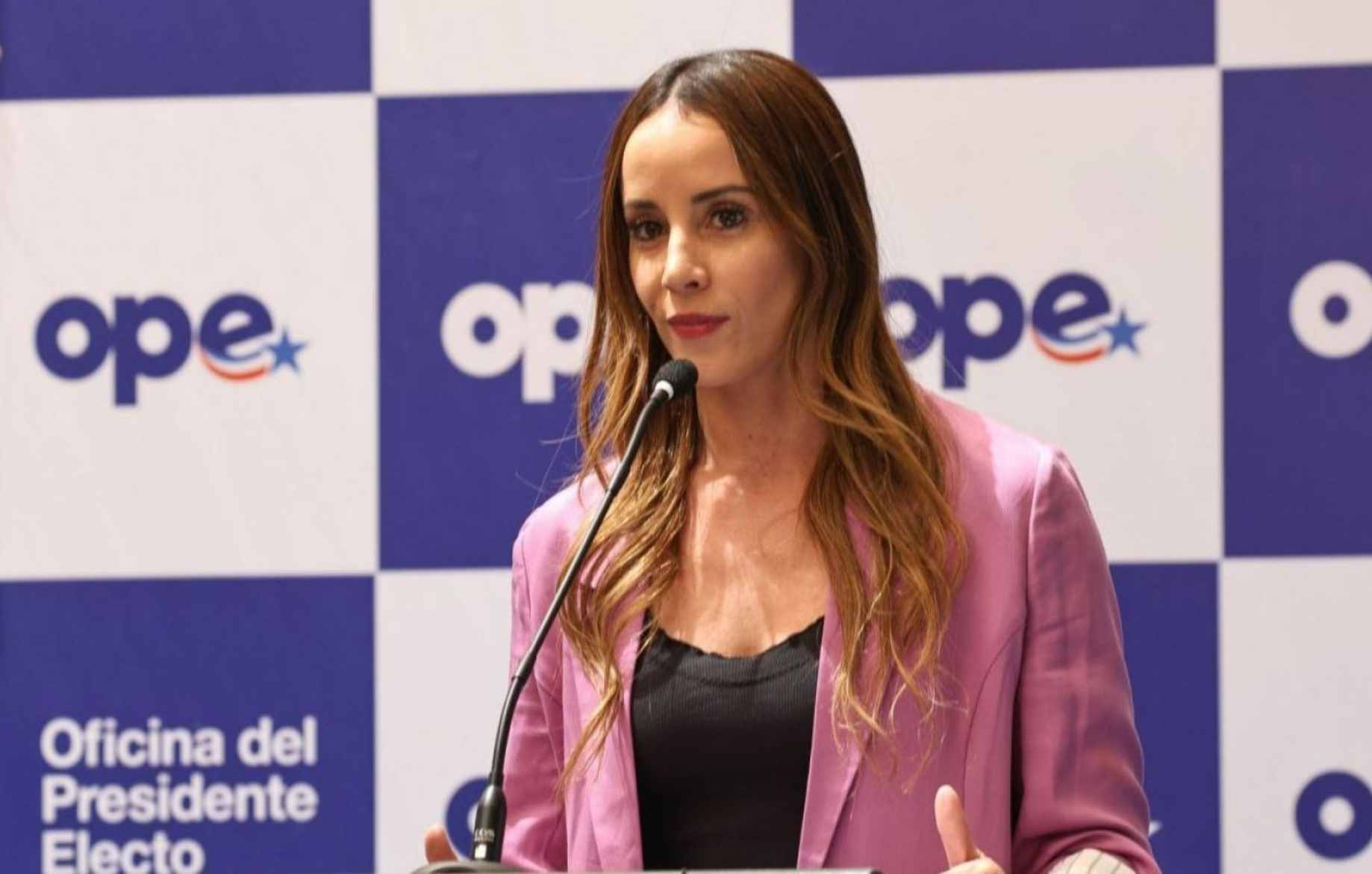 Ministra Mara Sedini visitará Ñuble este viernes junto al subsecretario de Obras Públicas