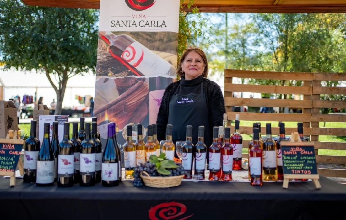 Más de 70 stands y 3.000 asistentes marcaron la Fiesta de la Vendimia 2026 en Portezuelo