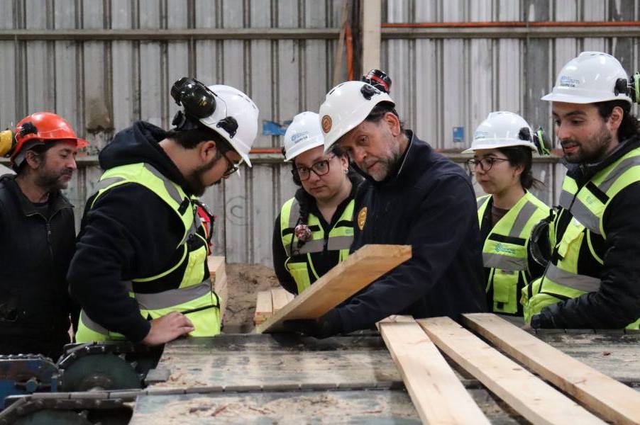 IA permitirá optimizar clasificación de la madera en aserraderos