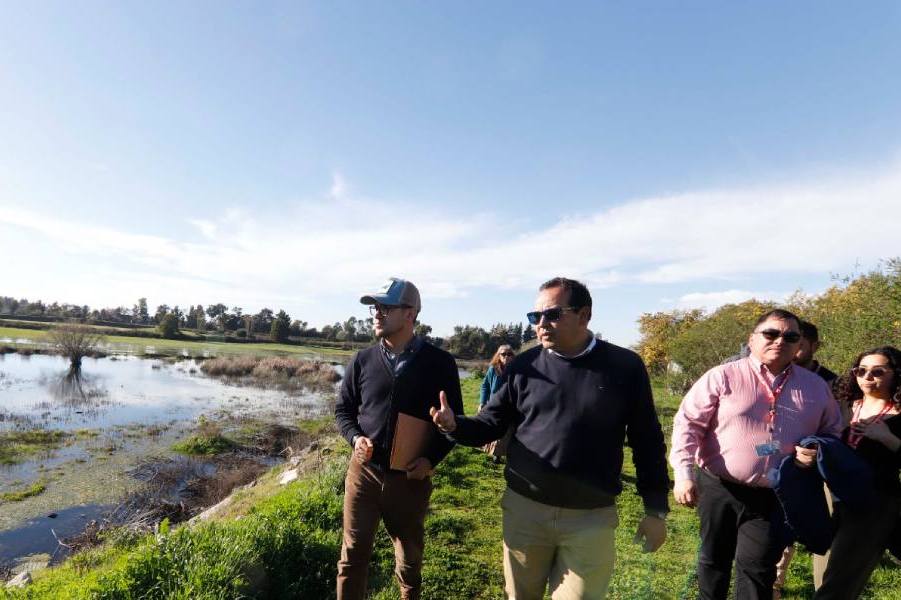 Humedales y sitio arqueológico: debate entre proteger y construir se instala en Chillán Viejo