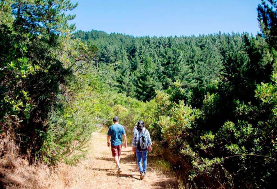Ñuble avanza en planificación ecológica a través de un proceso participativo