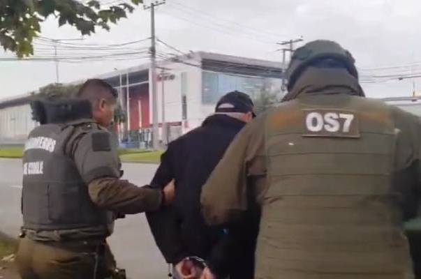 Detienen a hombre en Chillán con 130 plantas de cannabis y más de medio kilo de marihuana
