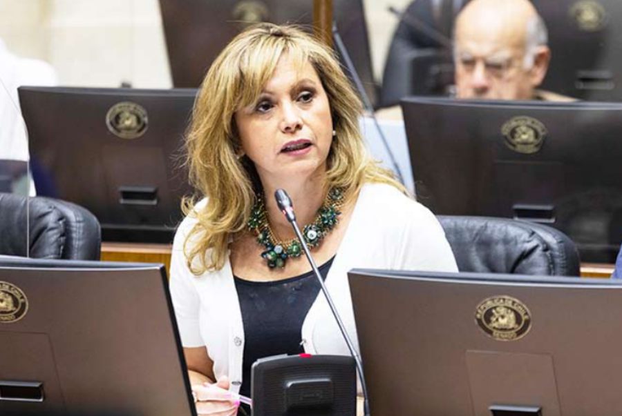 Secreto bancario en suspenso: voto de Loreto Carvajal podría ser clave