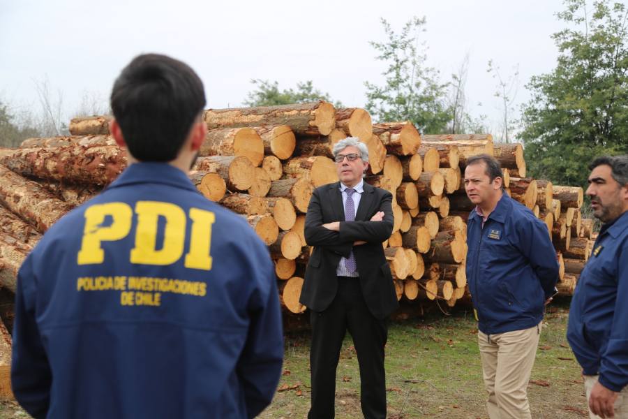 Robo de madera: bienes incautados al clan familiar